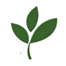 Logo Healthy Care
